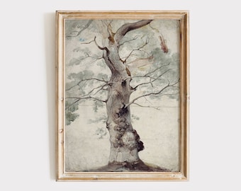 Vintage Tree Sketch, Antique Tree Drawings, Botanical Art, Farmhouse Art Set, Nature Sketch,