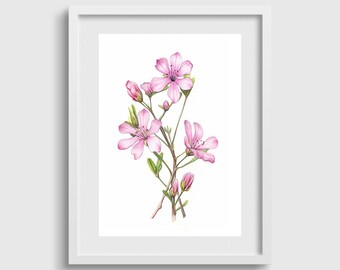 Estampado de flores silvestres rosas, floral, flor bohemia, estampado botánico, arte floral en acuarela, decoración de dormitorio, flores silvestres vintage, regalo floral