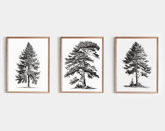 Vintage Tree Sketch Set of 3, Forest Print, Antique Tree Drawings, Nature Sketch, Tree Drawing Art, Rustic Neutral