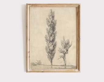 Vintage Tree Sketch, Antique Tree Drawings, Botanical Art, Farmhouse Art Set, Nature Sketch,