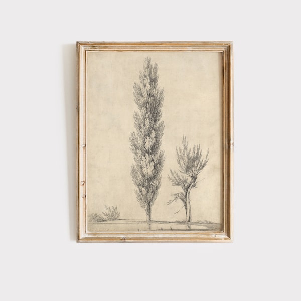 Vintage Tree Sketch, Antique Tree Drawings, Botanical Art, Farmhouse Art Set, Nature Sketch,