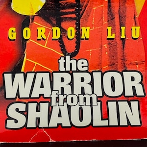 The Warrior From Shaolin (vintage martial arts vhs)