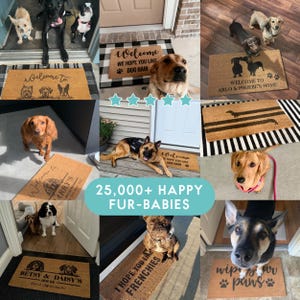 a collage of photos of dogs and puppies