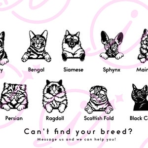 May include: A chart with black and white illustrations of different cat breeds. The breeds include Tabby, Bengal, Siamese, Sphynx, Maine Coon, Persian, Ragdoll, Scottish Fold, and Black Cat. The text "Can't find your breed? Message us and we can help you!" is at the bottom of the chart.