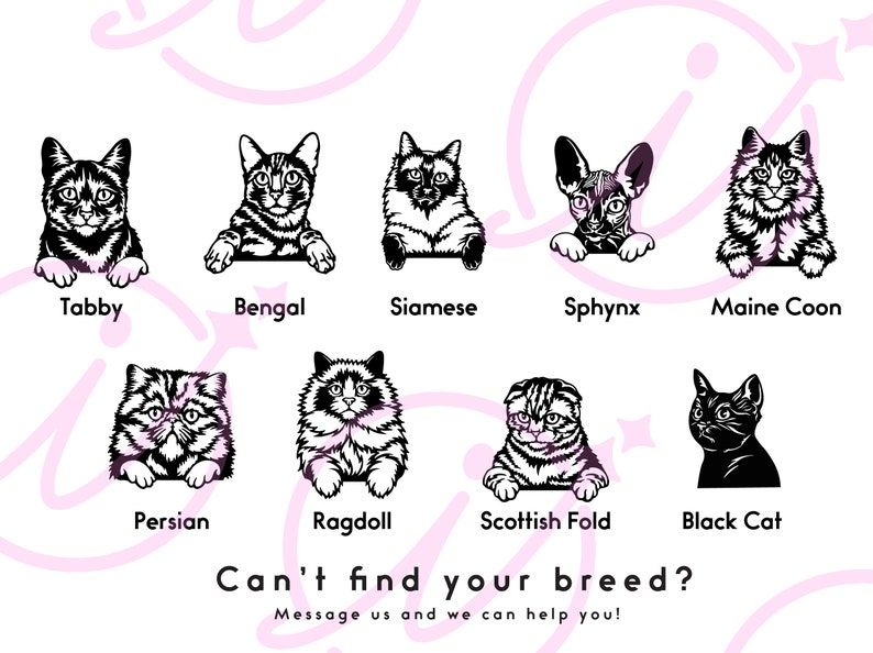 May include: A chart with black and white illustrations of different cat breeds. The breeds include Tabby, Bengal, Siamese, Sphynx, Maine Coon, Persian, Ragdoll, Scottish Fold, and Black Cat. The text "Can't find your breed? Message us and we can help you!" is at the bottom of the chart.