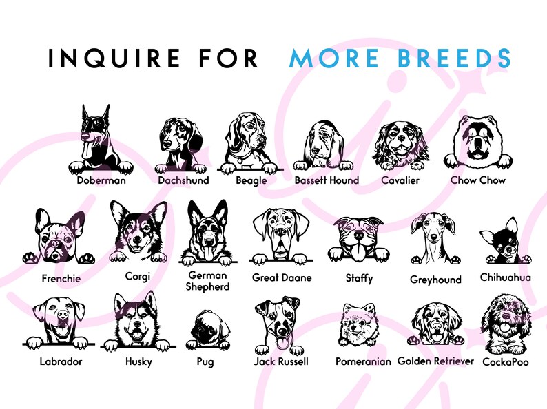 May include: Black and white illustrations of various dog breeds, including a Doberman, Dachshund, Beagle, Bassett Hound, Cavalier, Chow Chow, Frenchie, Corgi, German Shepherd, Great Dane, Staffy, Greyhound, Chihuahua, Labrador, Husky, Pug, Jack Russell, Pomeranian, Golden Retriever, and Cockapoo. The text "INQUIRE FOR MORE BREEDS" is at the top of the image.