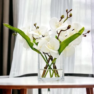 White Phalaenopsis Orchid Arrangement: Real Touch Floral Centerpiece