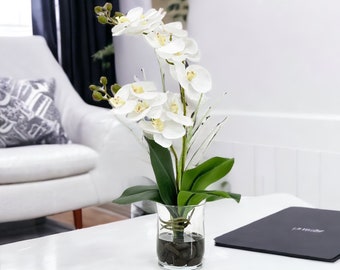 Faux White Double Stems Phalaenopsis Orchid Arrangement, Floral Centerpiece, Gift/Decor/Living Room/Kitchen Real Touch Orchids in Glass Vase