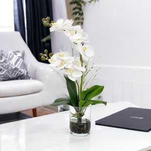 Faux White Double Stems Phalaenopsis Orchid Arrangement, Floral Centerpiece, Gift/Decor/Living Room/Kitchen Real Touch Orchids in Glass Vase