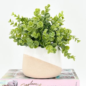 Boxwood Greens in Natural Beige Vase, Faux Artificial Greens Succulents Plants Table Centerpiece Floral Shelf Decor Centerpiece Faux Florals