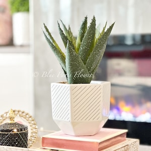 Succulents in White Vase, Faux Artificial Greens Succulents Plants Table Centerpiece Floral Decor Centerpiece Faux Florals