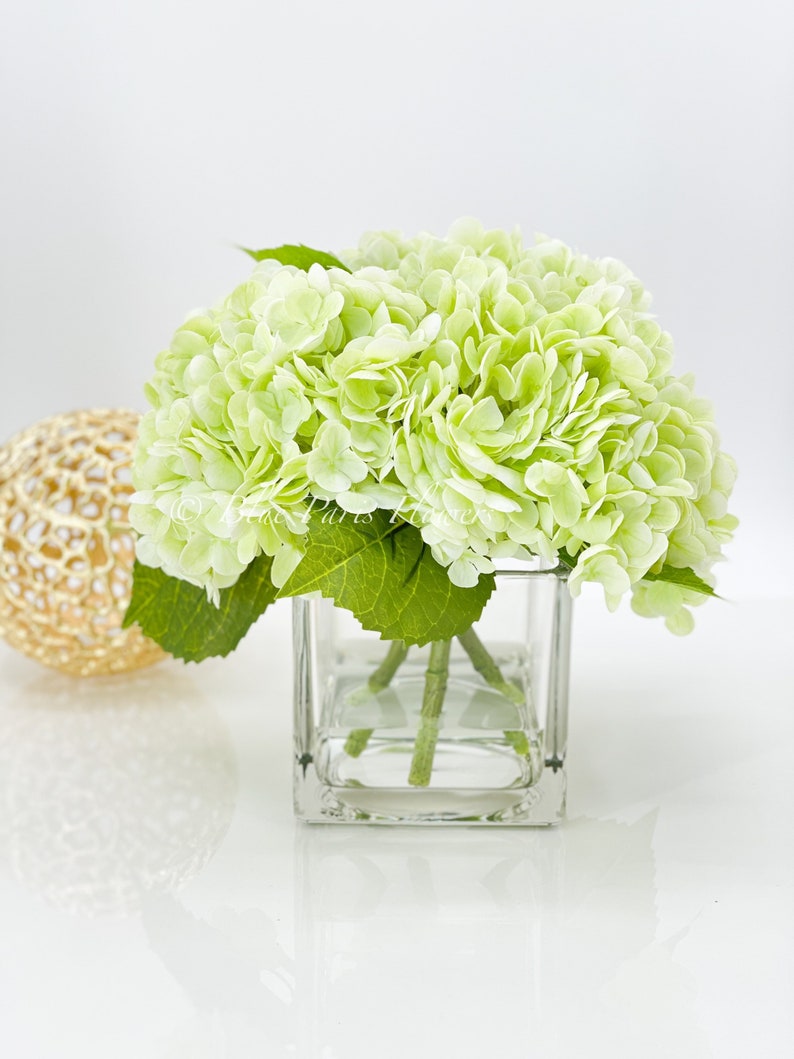 May include: A bouquet of light green hydrangeas in a clear glass cube vase. The vase is sitting on a white surface.