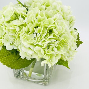 May include: A bouquet of light green hydrangeas in a clear glass cube vase. The flowers are arranged in a cluster and have a soft, delicate appearance.