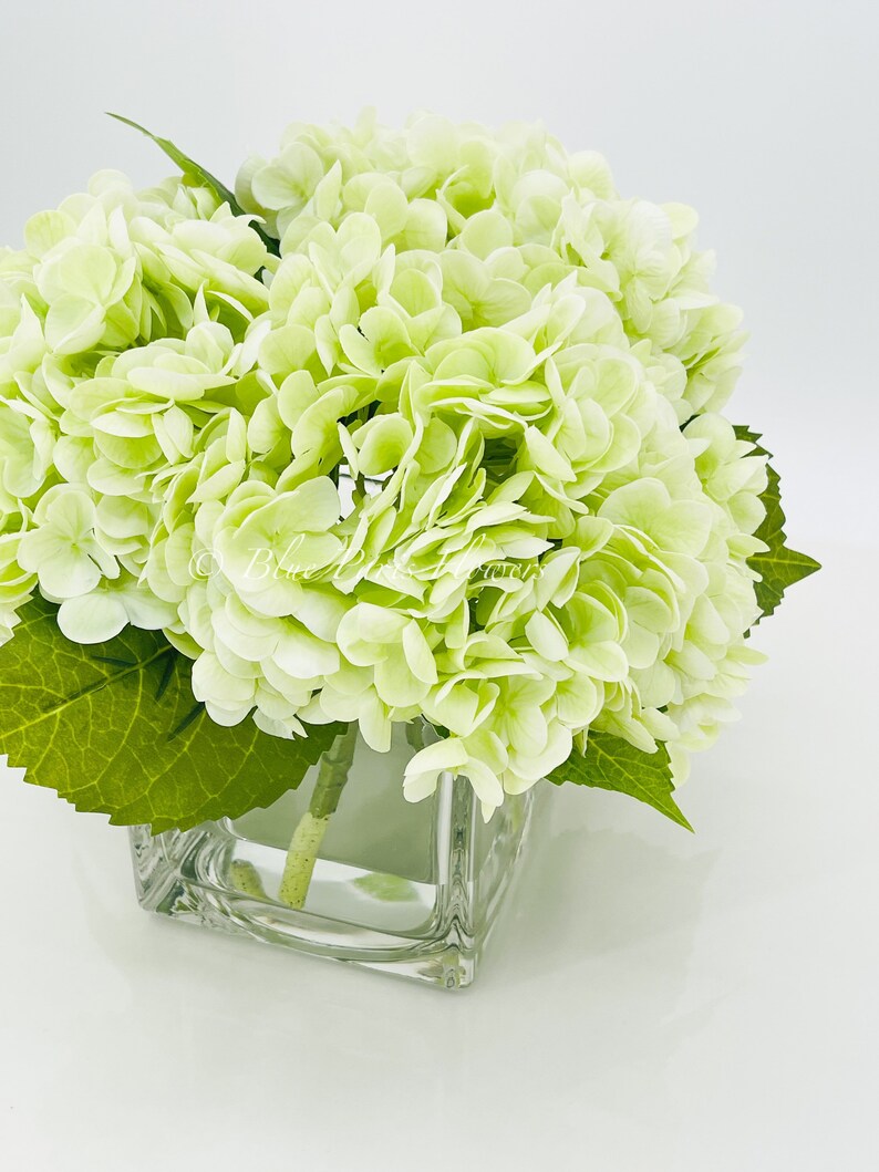 May include: A bouquet of light green hydrangeas in a clear glass cube vase. The flowers are arranged in a cluster and have a soft, delicate appearance.