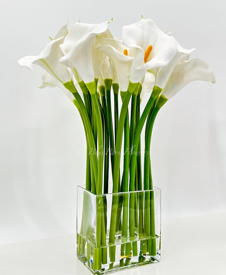 May include: A bouquet of white calla lilies arranged in a clear glass cube vase. The lilies have green stems and are arranged in a symmetrical pattern.