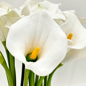 May include: A bouquet of white calla lilies with yellow centers in a clear glass vase. The lilies are arranged in a cluster, with the stems extending down into the vase.