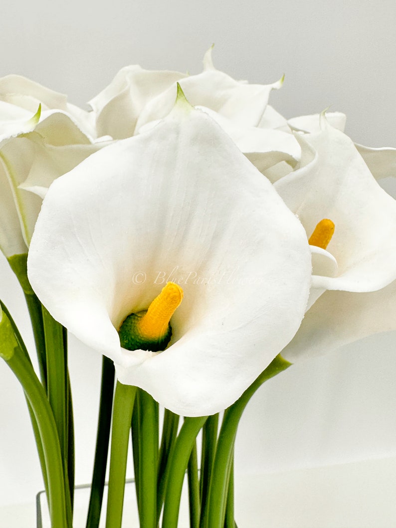 May include: A bouquet of white calla lilies with yellow centers in a clear glass vase. The lilies are arranged in a cluster, with the stems extending down into the vase.
