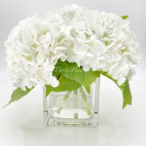 May include: A floral arrangement featuring large, white hydrangea blooms in a clear, square glass vase. Green leaves provide contrast to the bright white flowers. The text "Paris Flowers" is visible.
