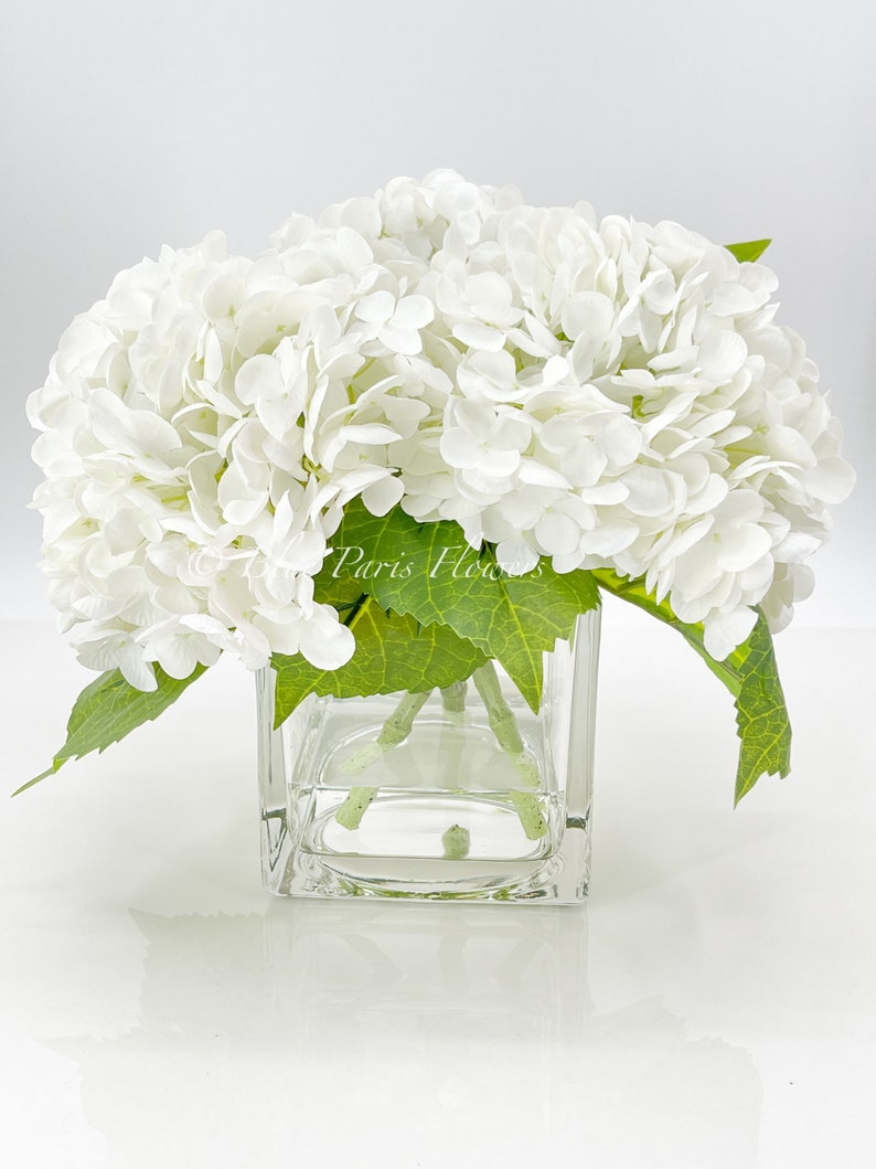 May include: A floral arrangement featuring large, white hydrangea blooms in a clear, square glass vase. Green leaves provide contrast to the bright white flowers. The text "Paris Flowers" is visible.