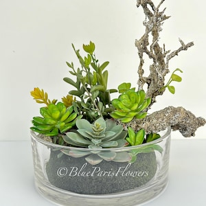 Faux Succulents in Glass Vase, Faux Artificial Greens/Succulents Plants Table Centerpiece Modern Floral Decor Florals