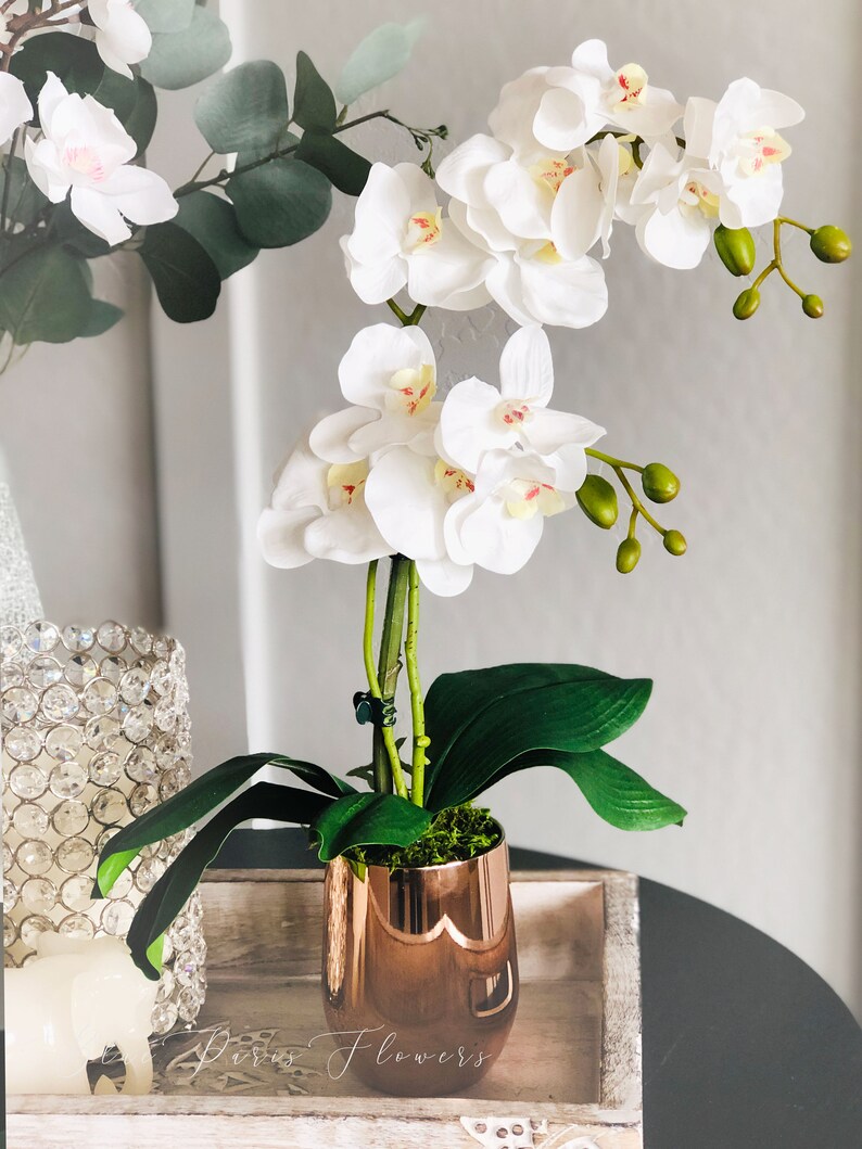Faux White Double Stems Phalaenopsis Orchid Arrangement Real Etsy