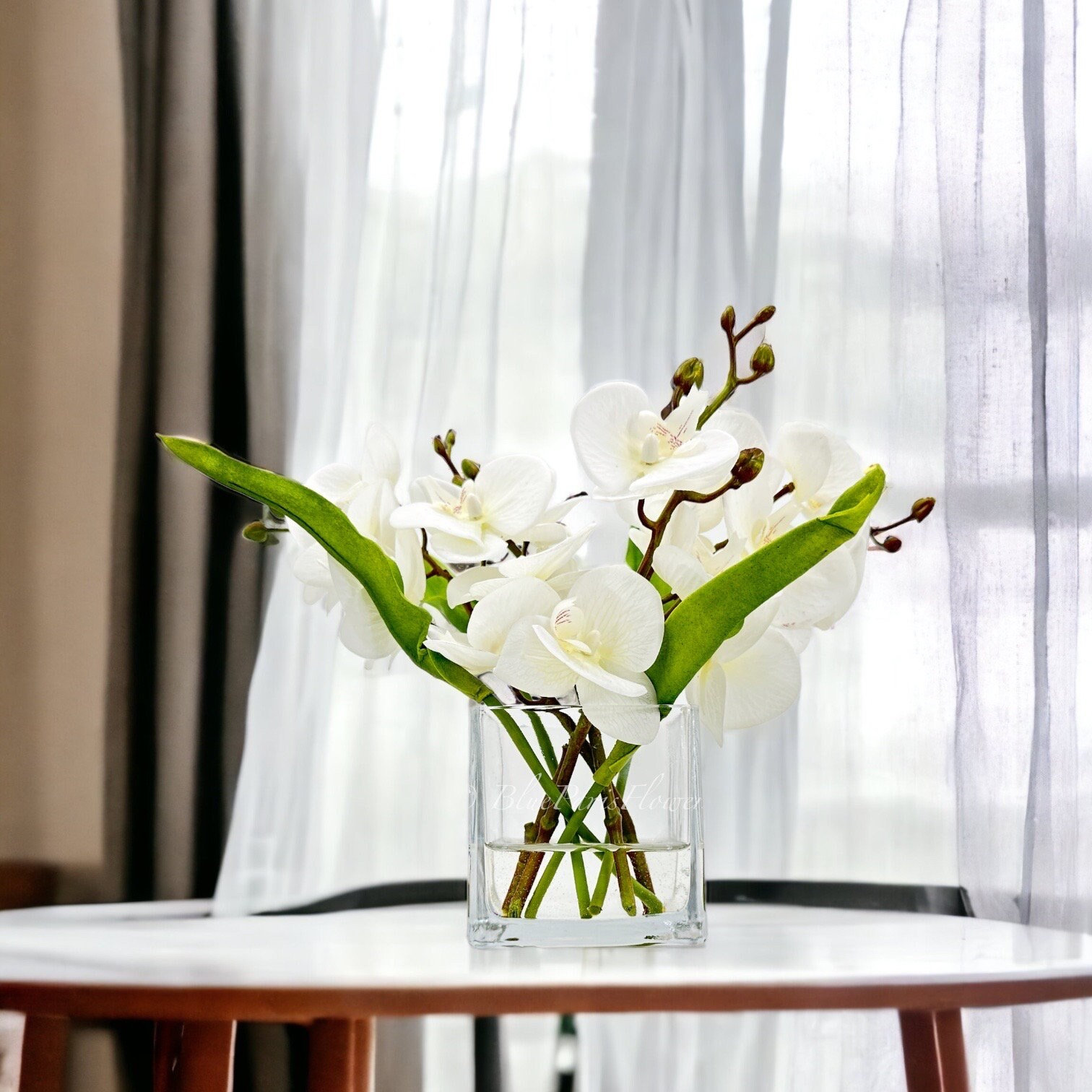 Al faro Mezzomonte on Instagram, image size:1512x1512