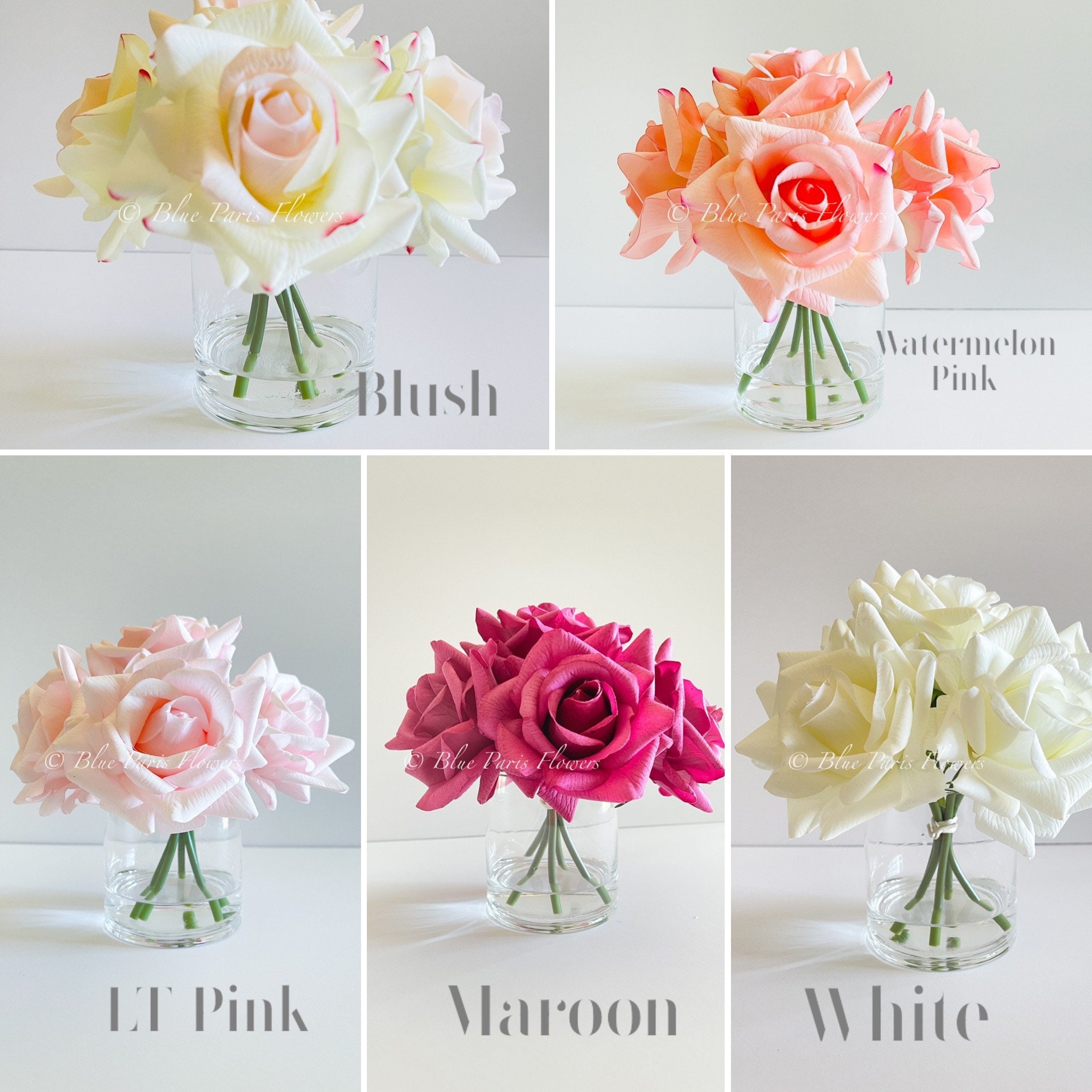 White Roses Variants Different Types Of White Roses