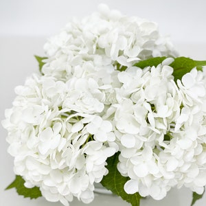 May include: A cluster of white hydrangea flowers with green leaves. The flowers are in full bloom, showcasing their delicate petals. The image is set against a plain white background, highlighting the flowers' bright color and texture. The flowers are likely artificial.