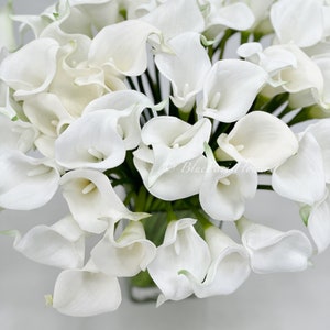 May include: A bouquet of white calla lilies arranged in a clear glass vase. The lilies are tightly packed together, creating a full and lush look.