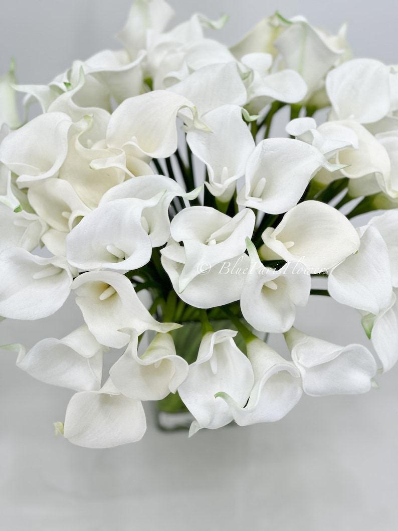 May include: A bouquet of white calla lilies arranged in a clear glass vase. The lilies are tightly packed together, creating a full and lush look.