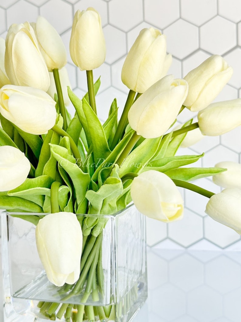May include: A bouquet of white tulips arranged in a clear glass cube vase. The tulips are in full bloom and have green stems and leaves.