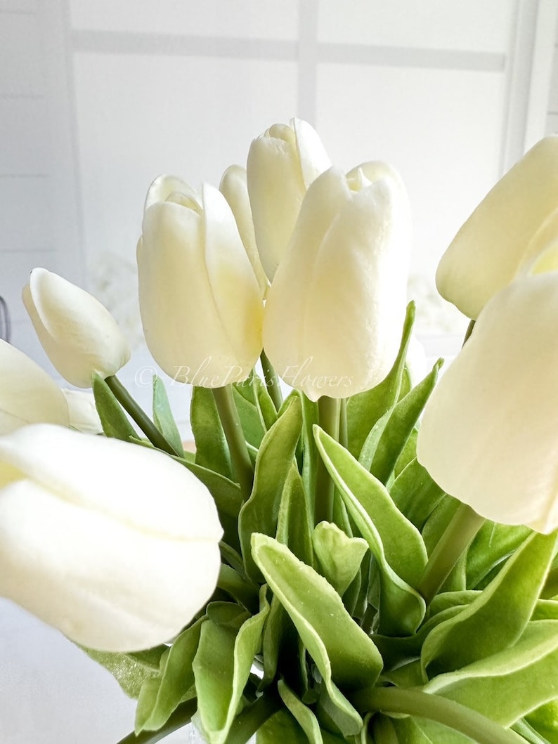 May include: A bouquet of white tulips with green leaves. The tulips are arranged in a vase, and the leaves are spread out around the tulips.
