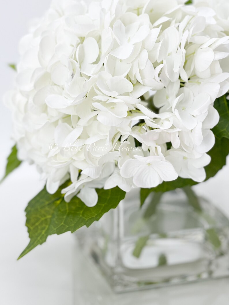 May include: A close-up of a bouquet of white hydrangea flowers in a clear, square glass vase. The flowers are in full bloom, with many delicate petals. Green leaves are visible. The text "Blue Paris Flowers" is in the bottom left corner.