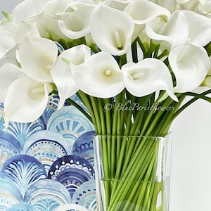 May include: A bouquet of white calla lilies arranged in a clear glass vase. The vase is filled with water and the stems of the flowers are visible. The flowers are in a room with a blue and gold patterned wallpaper.