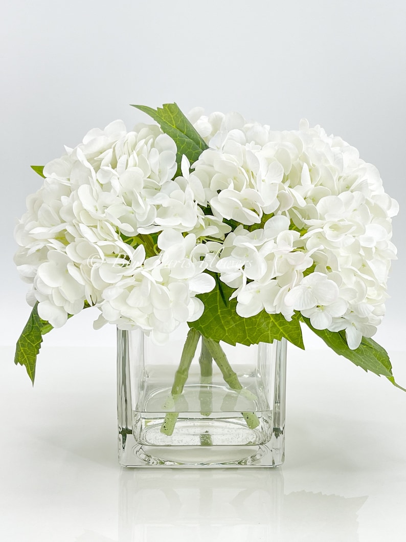 May include: A bouquet of white hydrangea flowers with green leaves in a clear, square glass vase. The flowers are clustered together, creating a full, rounded shape. The vase is filled with water, and the arrangement is set against a white background.