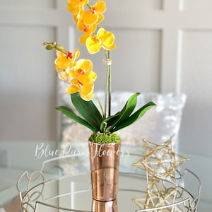 Real Touch Yellow Phalaenopsis Orchid Arrangement: French Country Centerpiece
