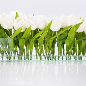May include: A glass vase filled with white tulips with green leaves. The vase is clear and rectangular.