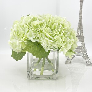 May include: A bouquet of light green hydrangeas in a clear glass cube vase. The vase is sitting on a white surface.