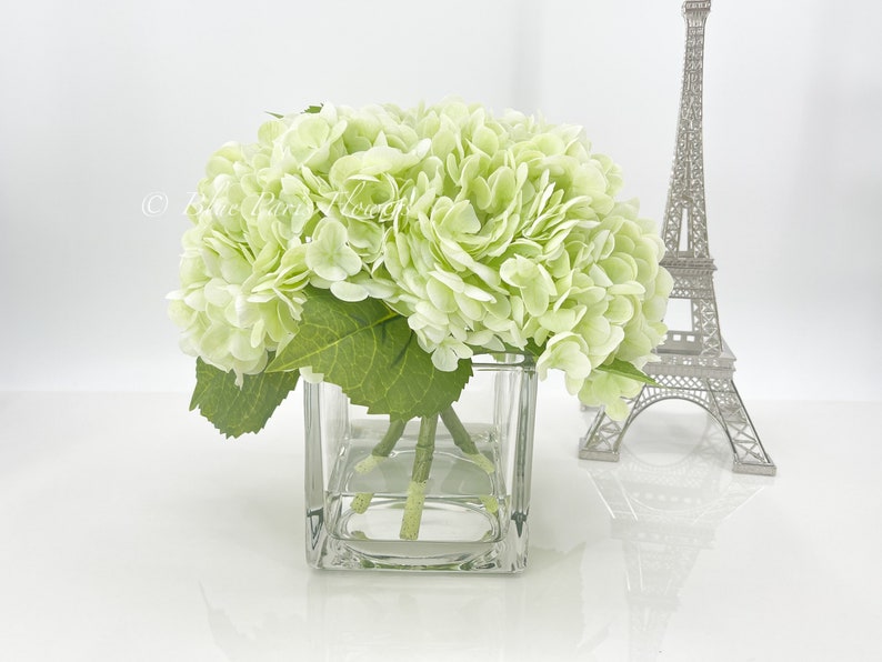May include: A bouquet of light green hydrangeas in a clear glass cube vase. The vase is sitting on a white surface.