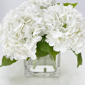 May include: A bouquet of white hydrangea flowers in a clear, square glass vase. The flowers are clustered together, with green leaves visible. The text "Blue Iris Flowers" is printed on the bottom left of the image.