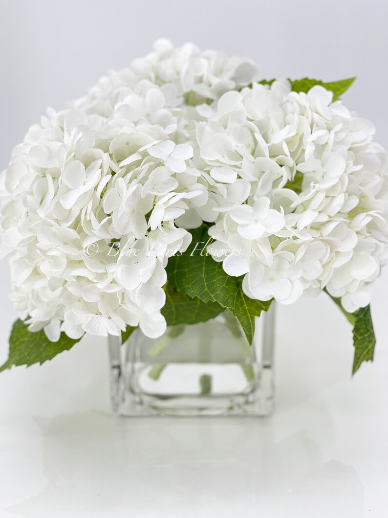 May include: A bouquet of white hydrangea flowers in a clear, square glass vase. The flowers are clustered together, with green leaves visible. The text "Blue Iris Flowers" is printed on the bottom left of the image.