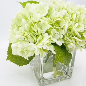 May include: A bouquet of light green hydrangeas in a clear glass square vase. The flowers are arranged in a simple, elegant style.