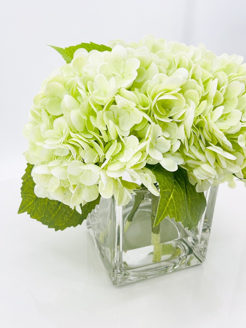 May include: A bouquet of light green hydrangeas in a clear glass square vase. The flowers are arranged in a simple, elegant style.