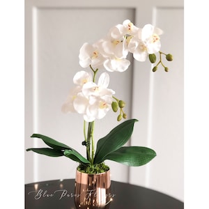 Faux White Double Stems Phalaenopsis Orchid Arrangement, Real Touch Flower in Vase