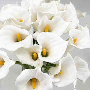 May include: A bouquet of white calla lilies with yellow centers. The flowers are arranged in a vase and are in focus. The background is a light gray.