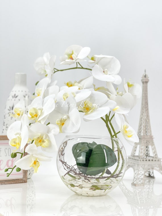White Phalaenopsis Orchid - Empty Vase Floral Arrangement