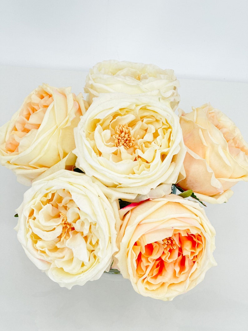 Peach Ruffly Roses Cream Austin Rose Arrangement: Real Touch Faux Floral Centerpiece - Etsy