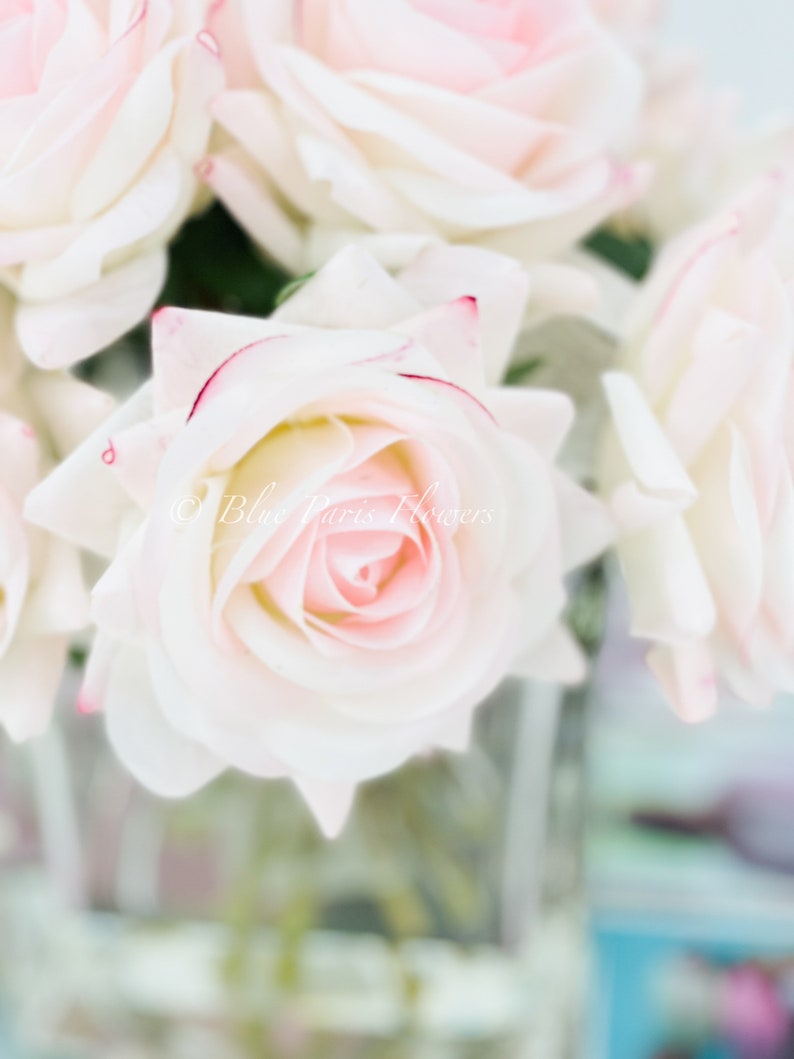 May include: A bouquet of white roses with pink centers. The roses are arranged in a clear glass vase. The background is blurred.