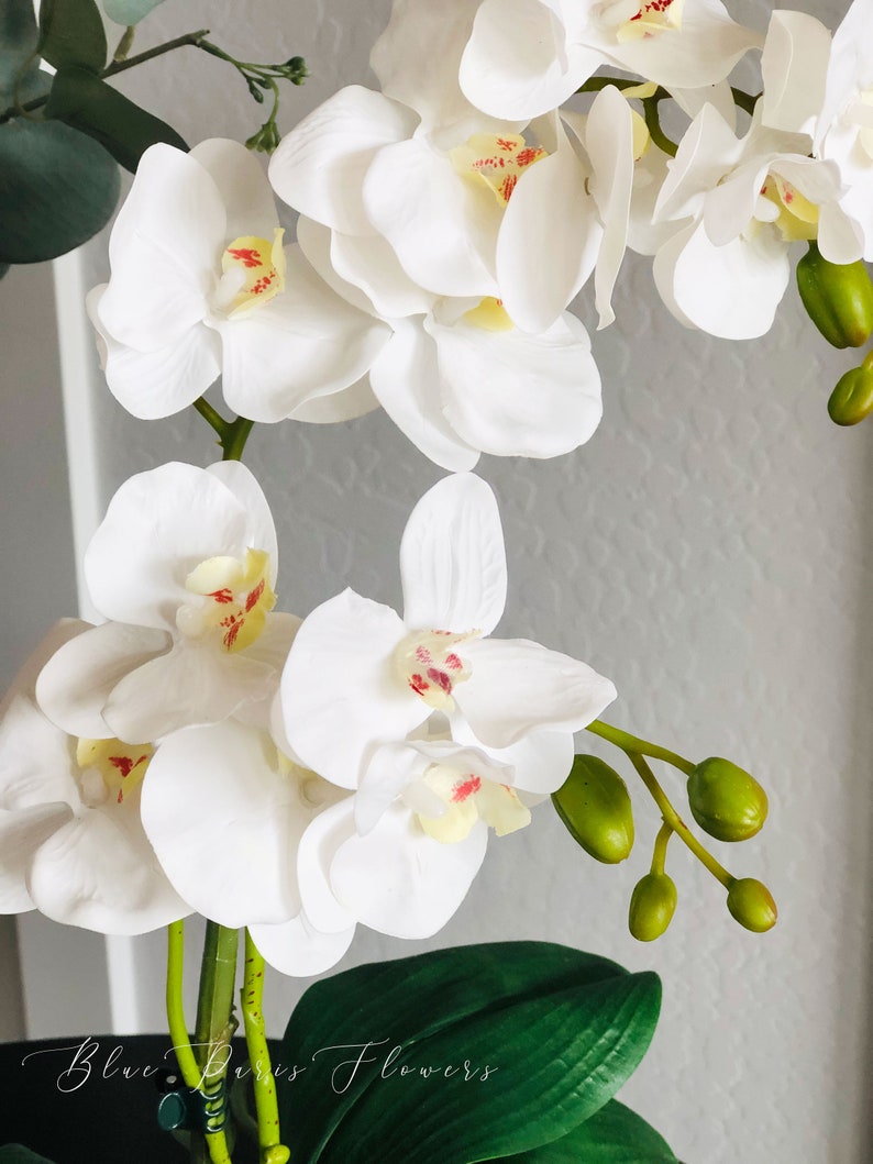 Faux White Double Stems Phalaenopsis Orchid Arrangement Real Etsy