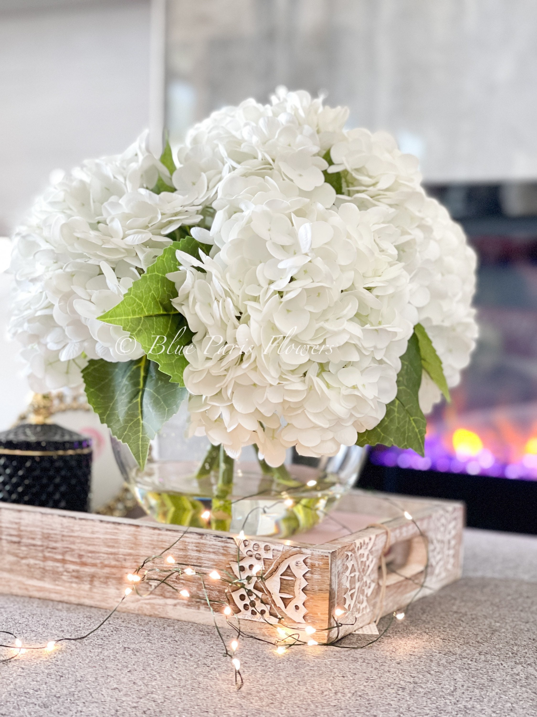 Image of Mexican Hydrangea in a vase